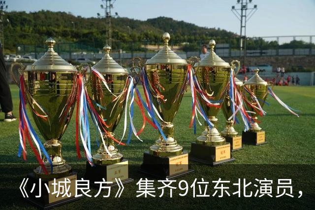 《小城良方》集齐9位东北演员，肖战但凡拉胯点都压不住王炸配角